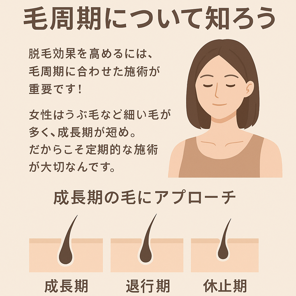 画像の説明