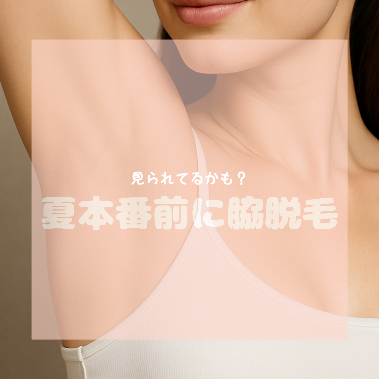 画像の説明